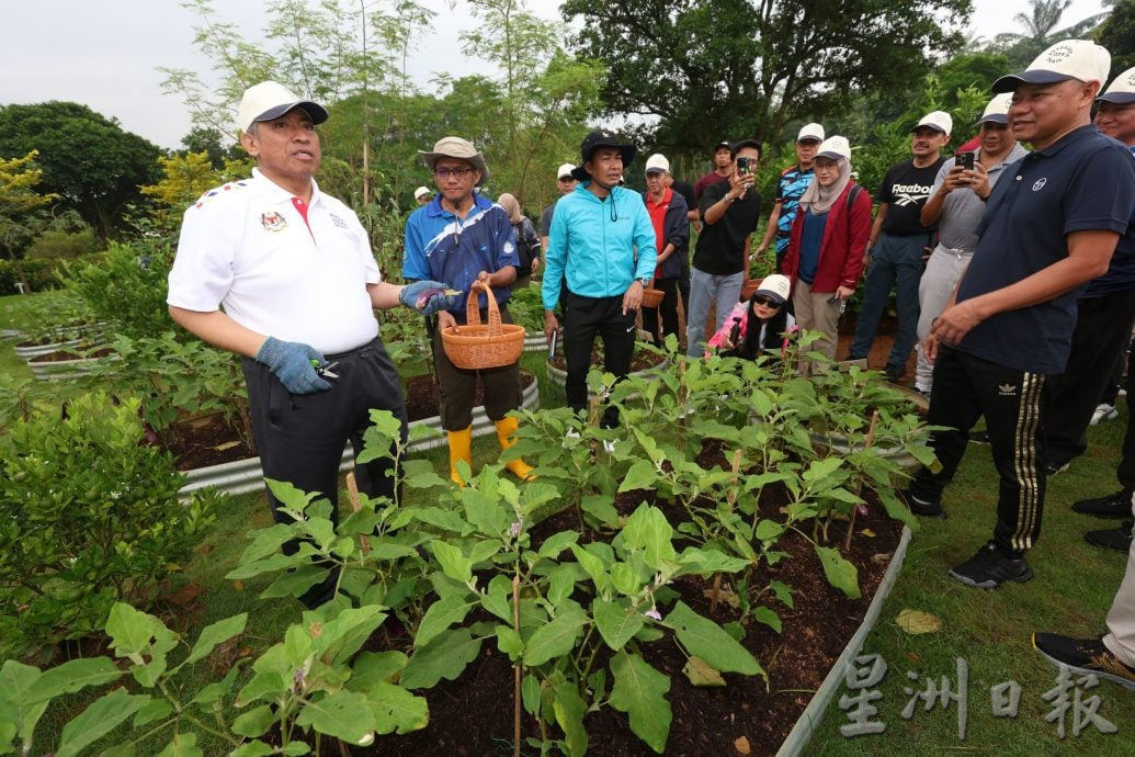 山苏阿兹里：作物丰富景色宜人  “布城植物园可打造成度假胜地”
