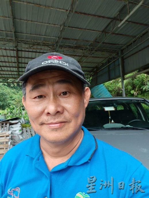 锺南丰:周边菜园受灾严重 不影响金马仑菜整体供应