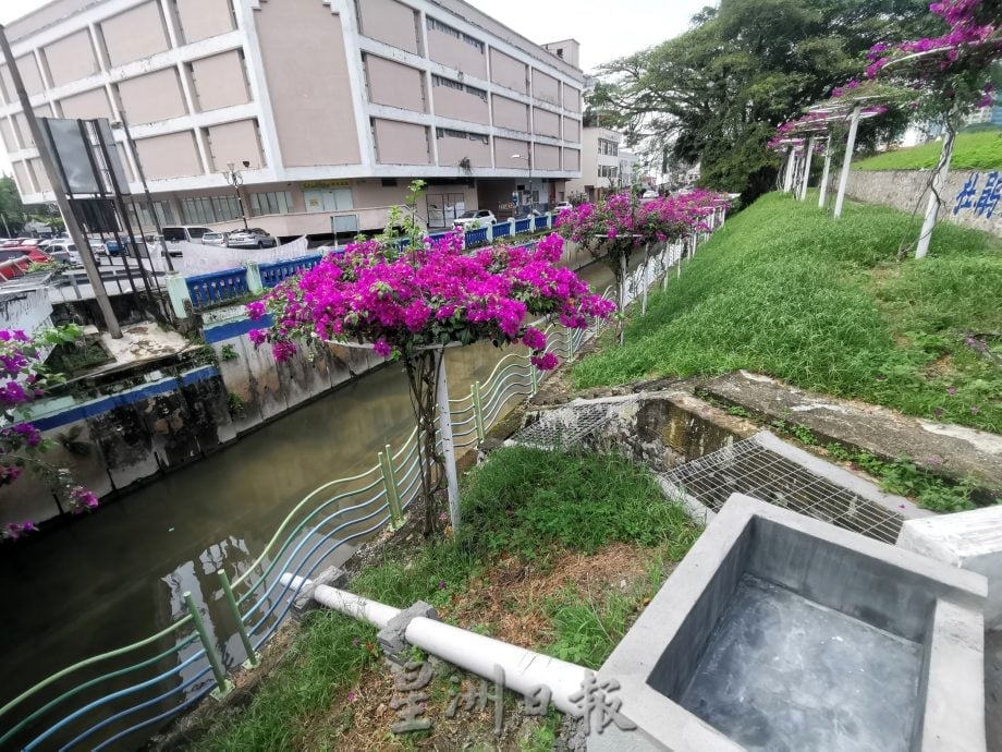 李三路河边放生鲶鱼视频惹议 被批“好心做坏事”,森渔业局:非所有鱼类适合放生