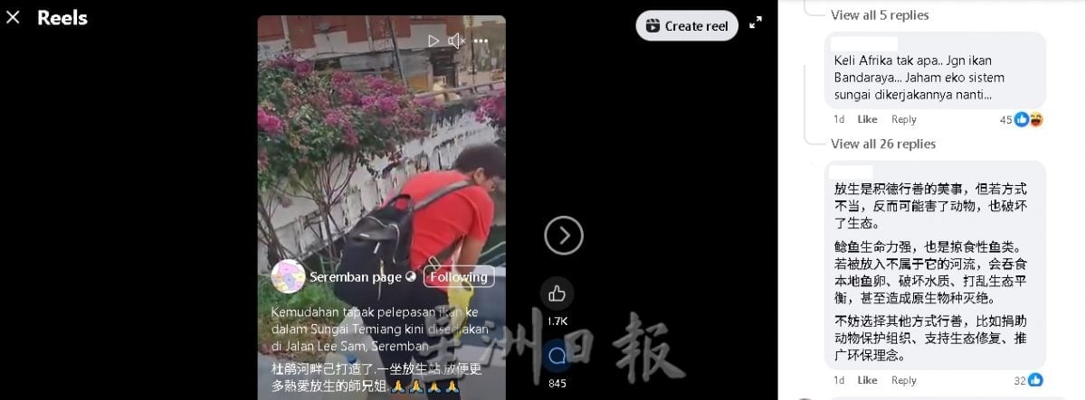 李三路河边放生鲶鱼视频惹议 被批“好心做坏事”,森渔业局:非所有鱼类适合放生