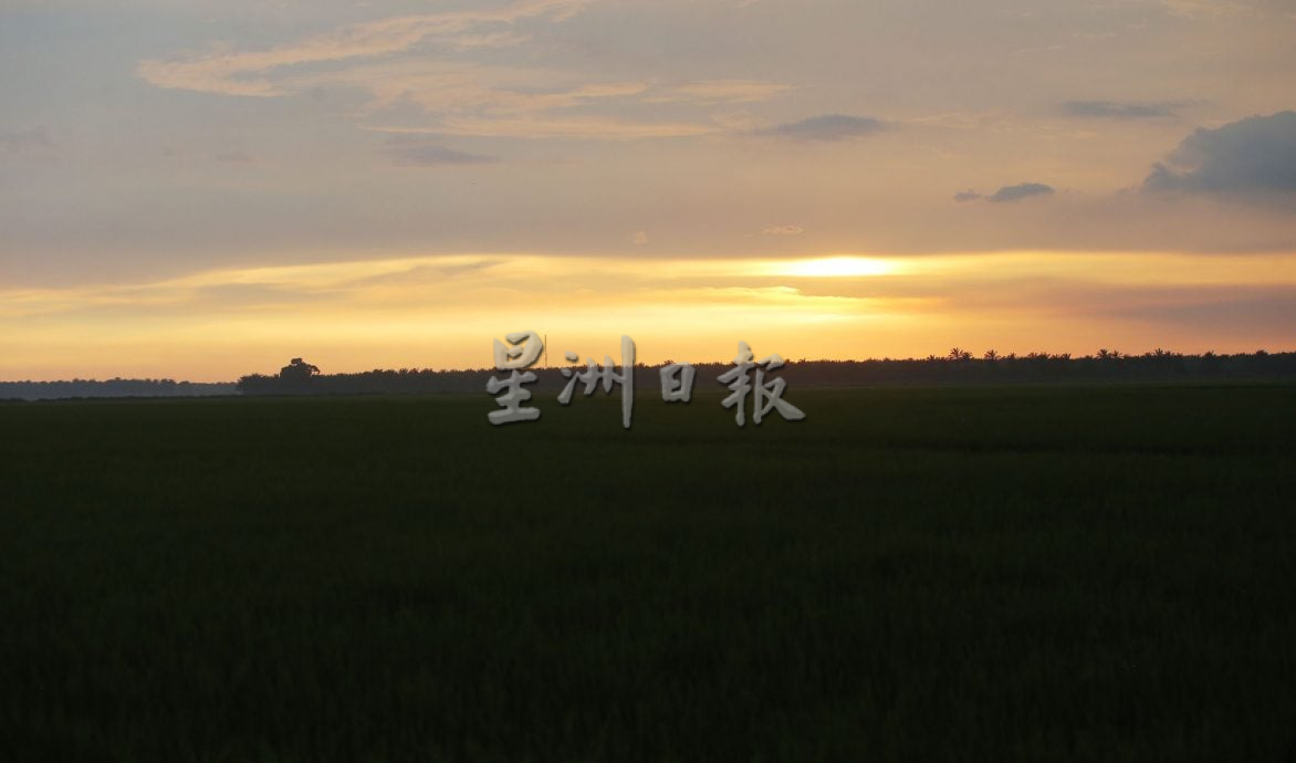 星角摄/水闸稻田雨后夕阳