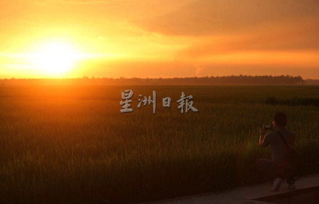 星角摄/水闸稻田雨后夕阳
