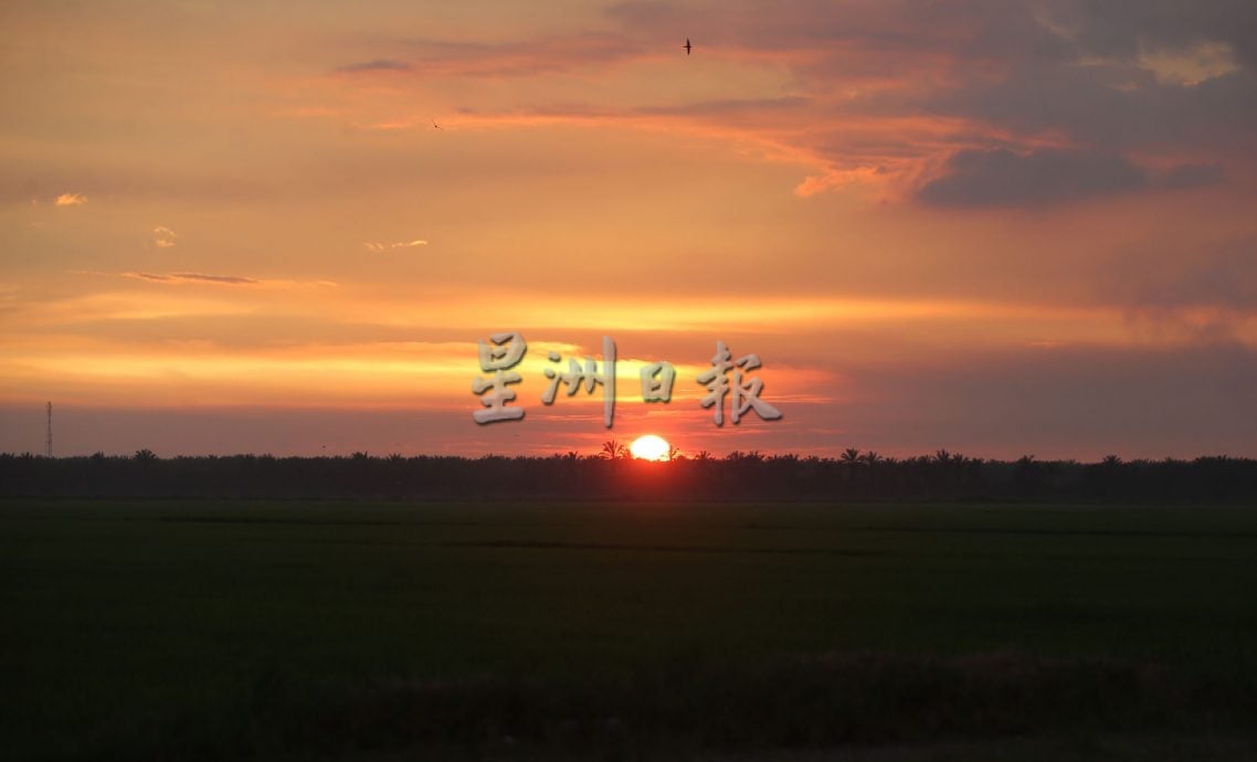 星角摄/水闸稻田雨后夕阳