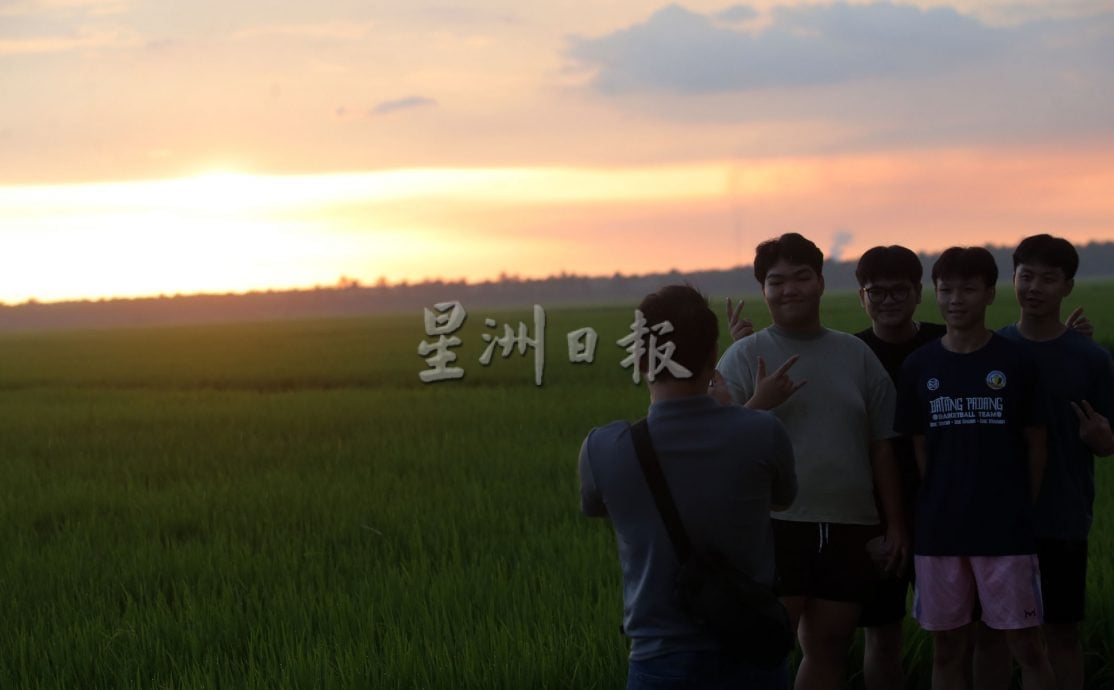 星角摄/水闸稻田雨后夕阳