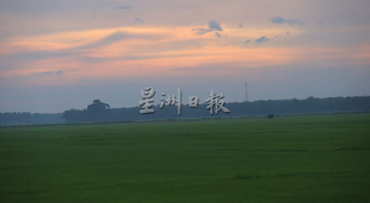 星角摄/水闸稻田雨后夕阳