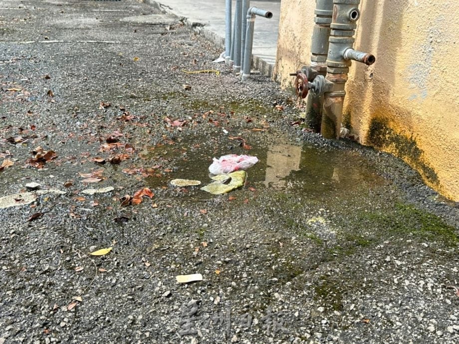 (古城第三版主文)双岛城沟盖损坏或不见 危及公路使用者安全