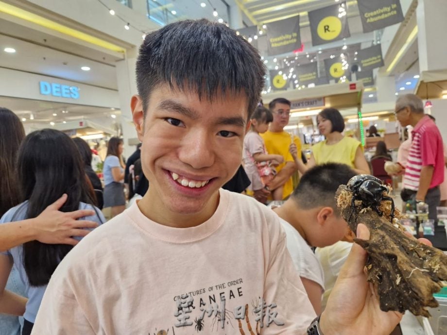 16岁中度自闭少年与他的“找虫”团队 开启昆虫世界奇妙之旅