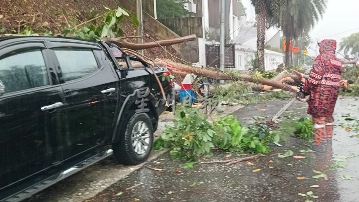 午后暴风雨 孟沙区发生树倒压车意外