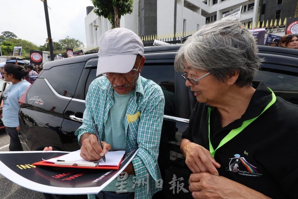 供星洲网/“反对扑杀，让流浪狗活下去” 近500人现身森州政府大厦展开和平请愿集会