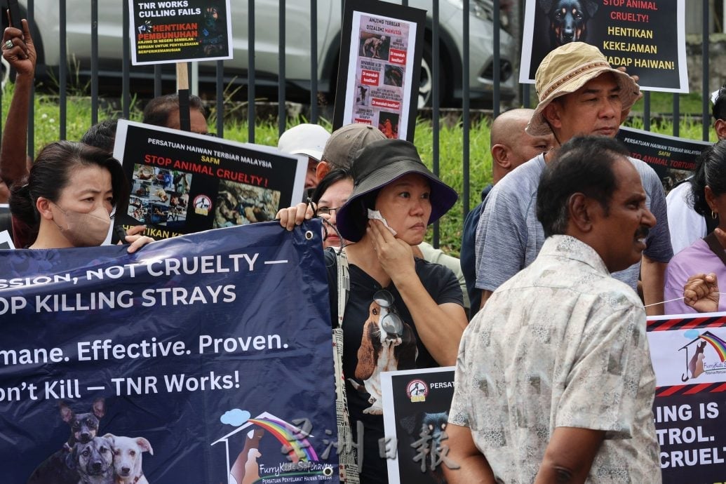 供星洲网/“反对扑杀，让流浪狗活下去” 近500人现身森州政府大厦展开和平请愿集会