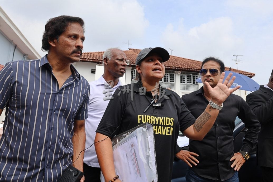 供星洲网/“反对扑杀,让流浪狗活下去” 近500人现身森州政府大厦展开和平请愿集会