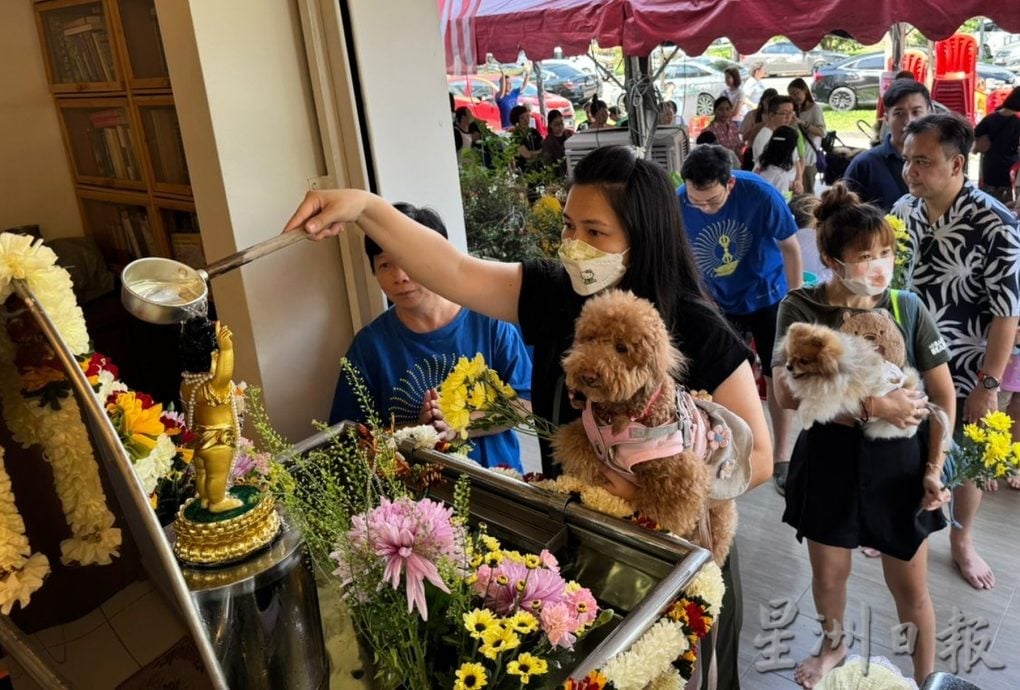 (古城封面主文)禅寺为毛孩祈福加持·未来得遇更好因缘
