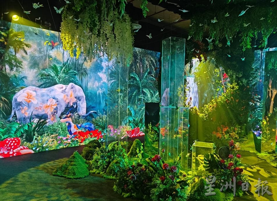 （大北马）“D探索之旅”沉浸式艺术展览开幕