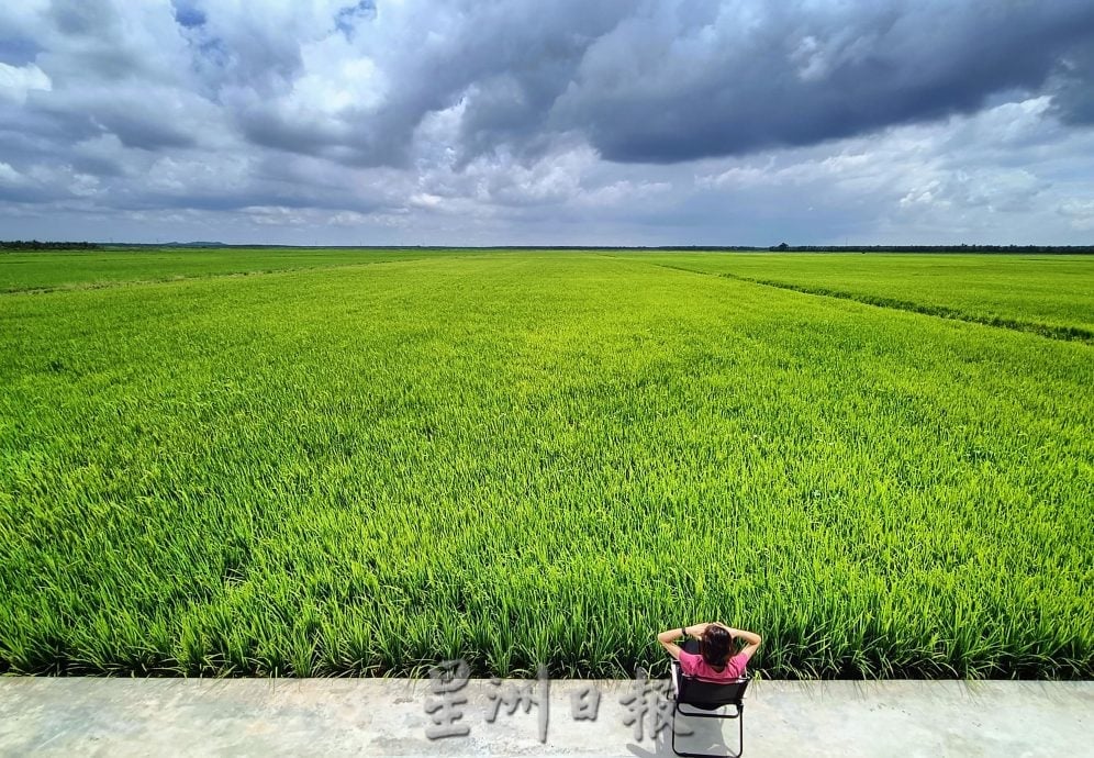 【有故事的人】★5月11日刊登/|留台生回乡 稻田开民宿