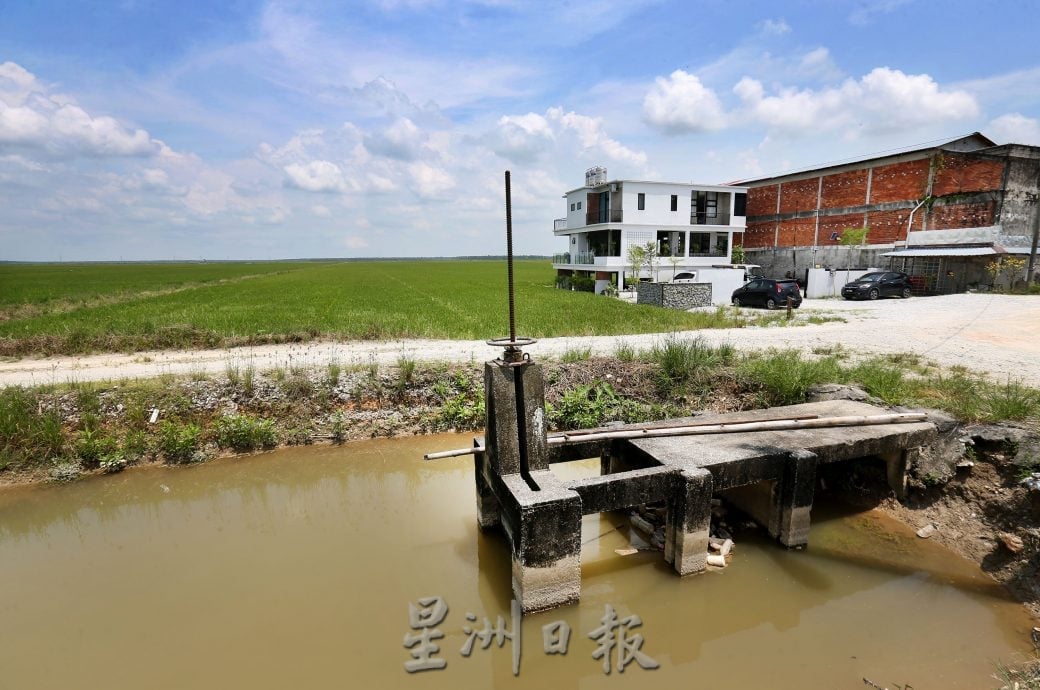 【有故事的人】★5月11日刊登/|留台生回乡 稻田开民宿