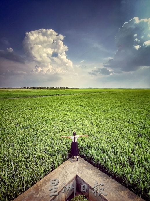 【有故事的人】★5月11日刊登/|留台生回乡 稻田开民宿