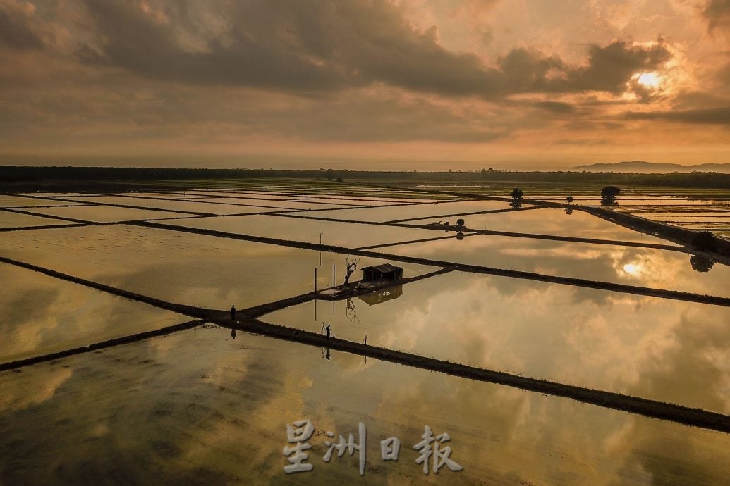 【有故事的人】★5月11日刊登/|留台生回乡 稻田开民宿