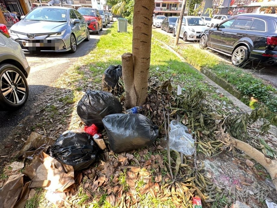 甲岭花园枯叶垃圾堆积 影响排水及市容