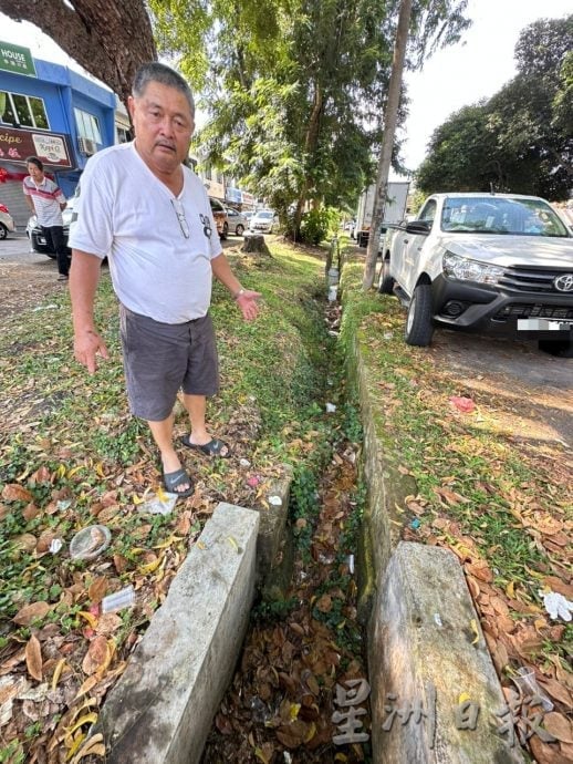 甲岭花园枯叶垃圾堆积 影响排水及市容