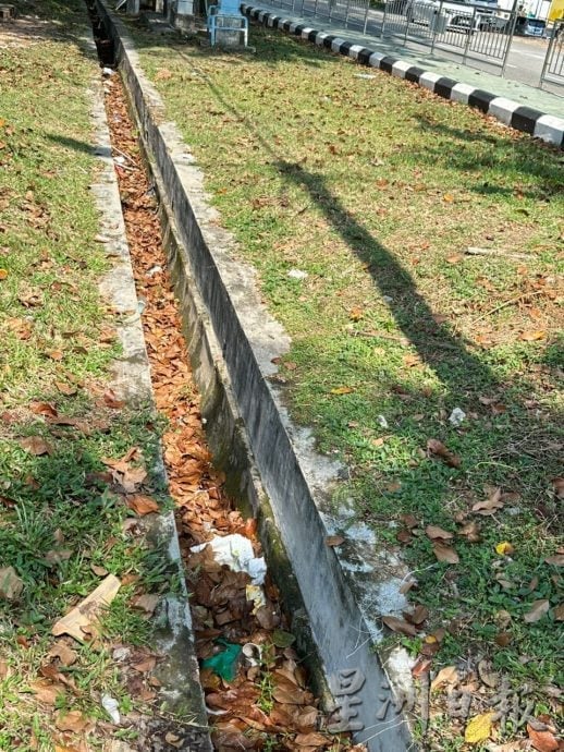 甲岭花园枯叶垃圾堆积 影响排水及市容
