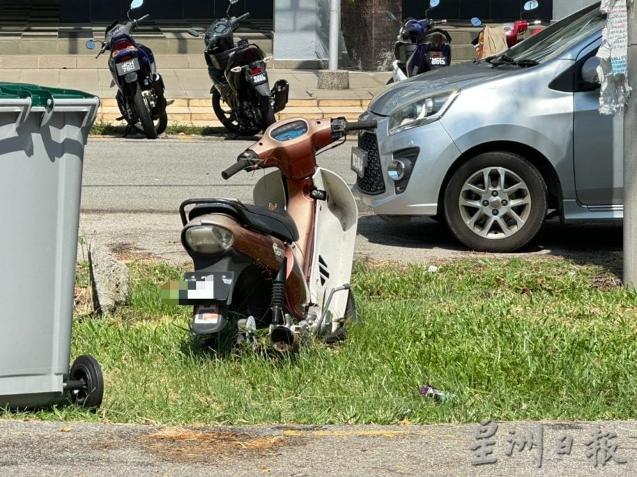甲岭花园枯叶垃圾堆积 影响排水及市容