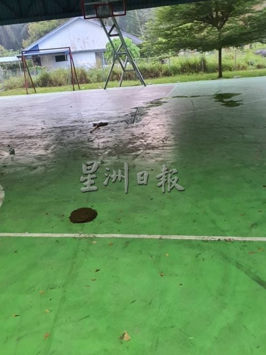 霹：第三版头／芭场变牛场  亚亦君令园主促设特别小组  取缔游荡牛