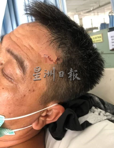霹:第三版头/芭场变牛场 亚亦君令园主促设特别小组 取缔游荡牛
