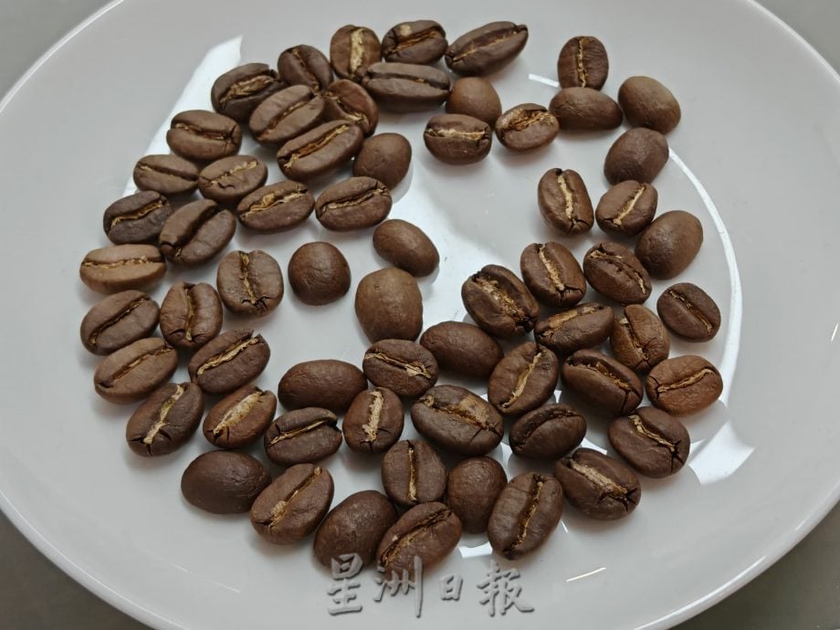 (古城第二版主文)《你动摇了吗》专栏:推广阿拉比卡咖啡豆,向民众讲解咖啡豆种、制作过程等相关知识