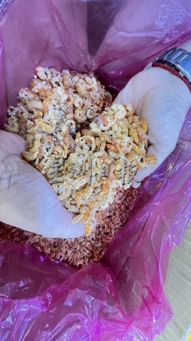 **已签发**柔:封面:特稿〡裹粽原材料价格波动不大,唯猪肉涨幅最多