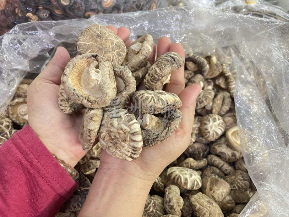**已签发**柔：封面：特稿〡裹粽原材料价格波动不大，唯猪肉涨幅最多