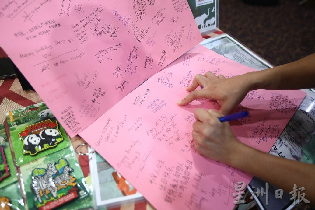 熊猫兴兴靓靓今最后展出 粉丝涌动物园守候到闭馆