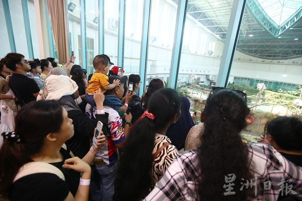 熊猫兴兴靓靓今最后展出 粉丝涌动物园守候到闭馆