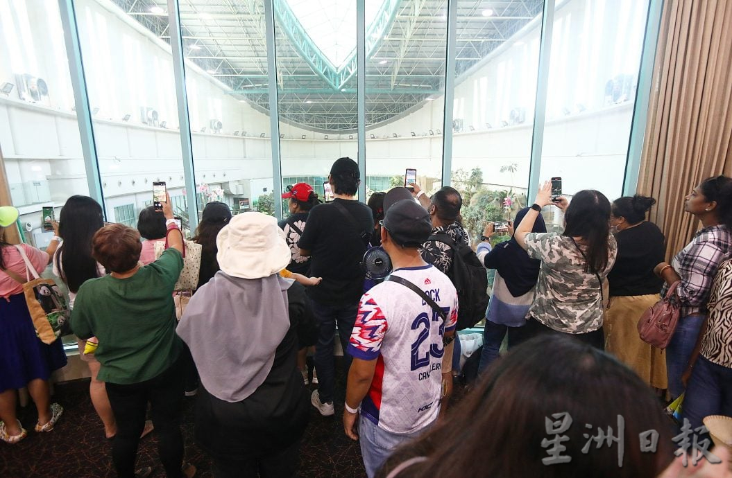 熊猫兴兴靓靓今最后展出 粉丝涌动物园守候到闭馆