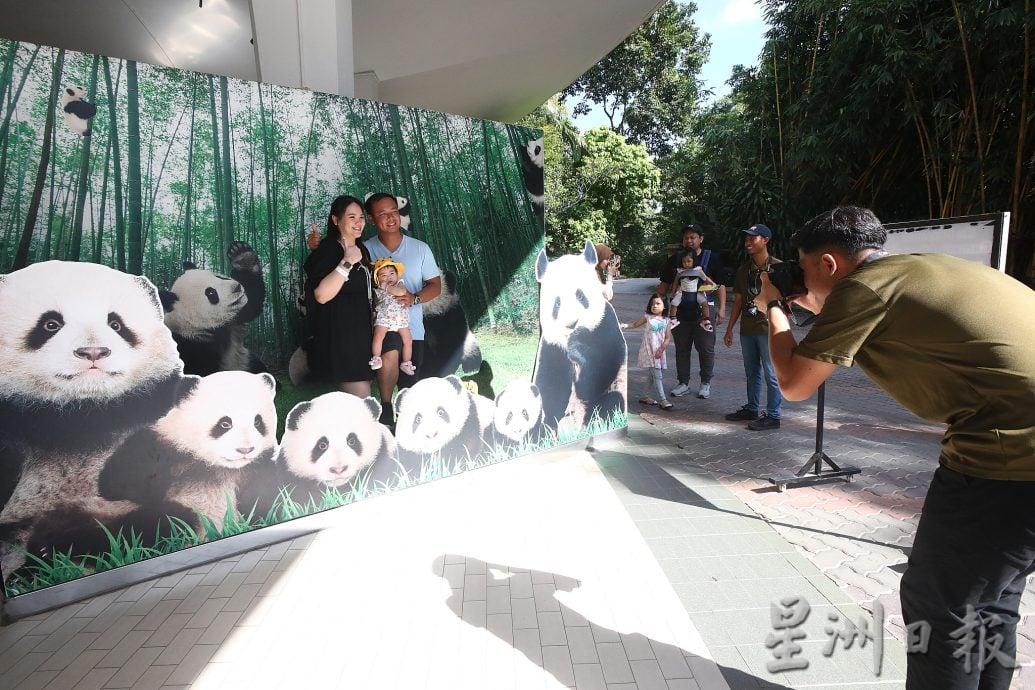 熊猫兴兴靓靓今最后展出 粉丝涌动物园守候到闭馆