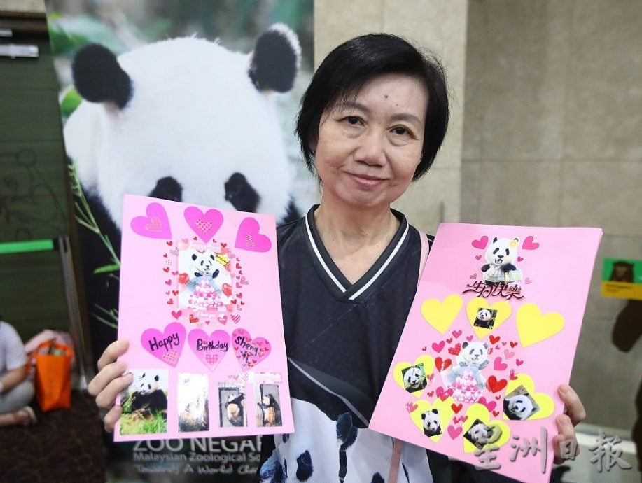 熊猫兴兴靓靓今最后展出 粉丝涌动物园守候到闭馆