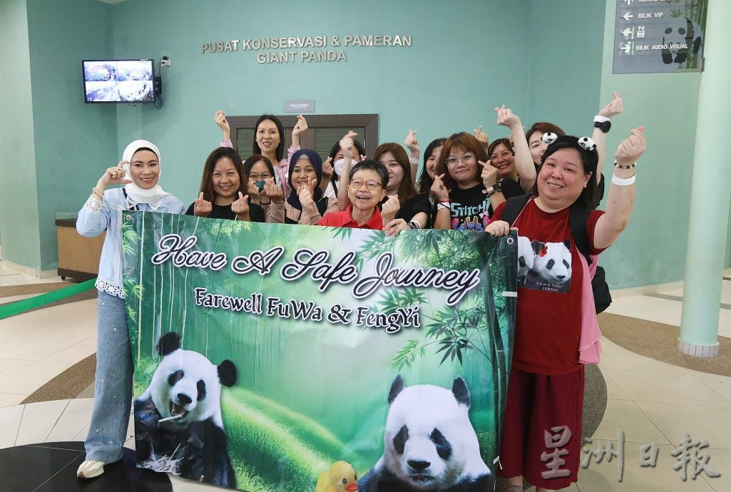 熊猫兴兴靓靓今最后展出 粉丝涌动物园守候到闭馆