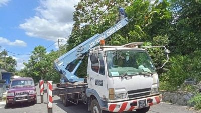 芙市政厅成立维修小组 林骏荣：树木修剪砍伐加速了