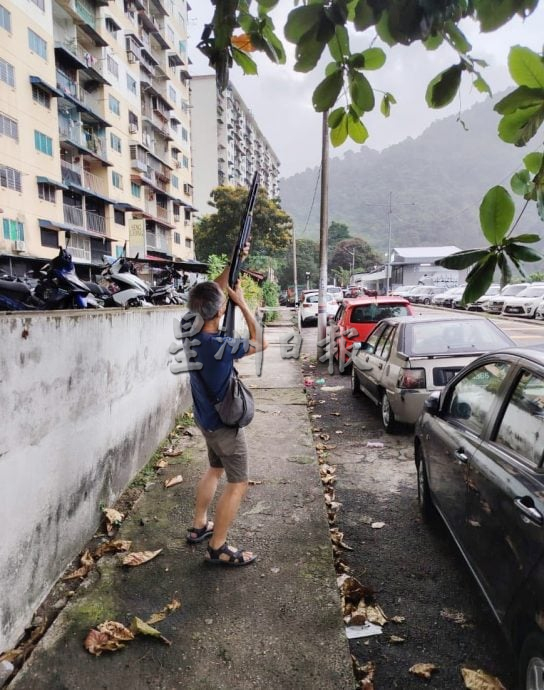 （大北马）“神枪手”再次出动，打枪埔射落118乌鸦