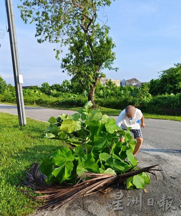 窃贼偷走地下电话缆 未盖涵洞威胁公众安全