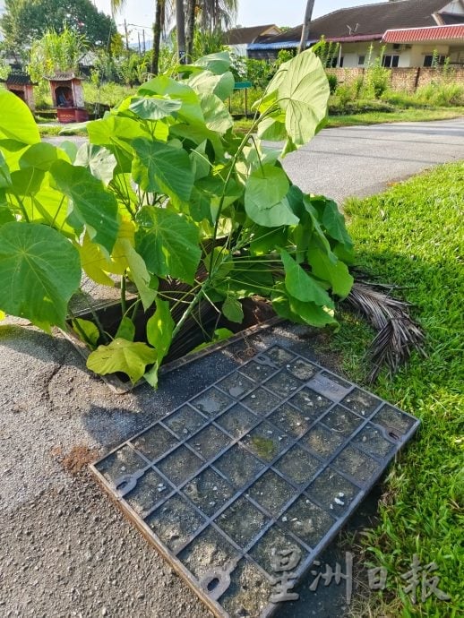 窃贼偷走地下电话缆 未盖涵洞威胁公众安全