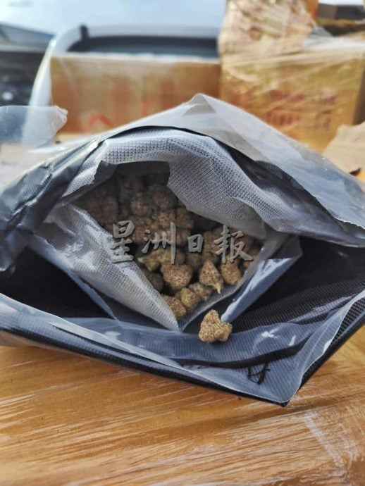 东（已签）:警于兰斗班让非法渡头起55.9公斤大麻。 