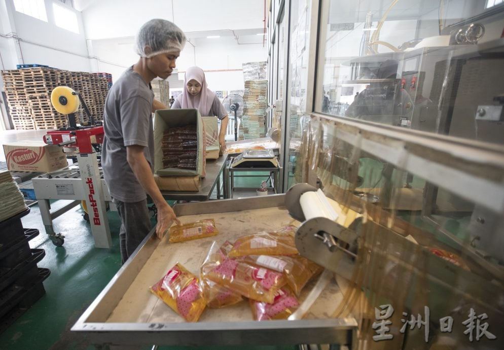 星角摄/图说大马(22日刊):津贴食油包装厂