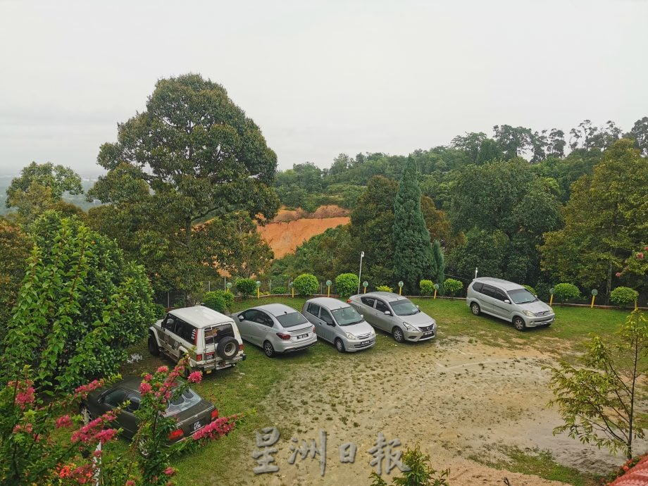 请签发(大北马)舒宁顶榴梿预计本月杪成熟坠地，饕客已预定要品尝