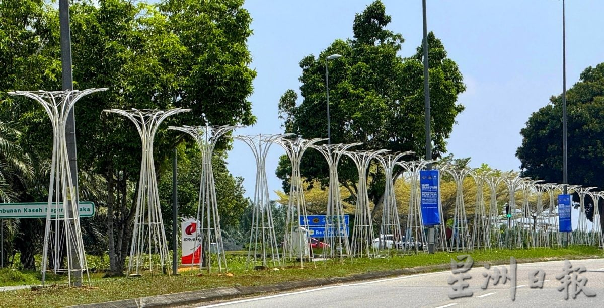 （古城第六版主文）九重葛盛放AMJ·美化大道景观添活力