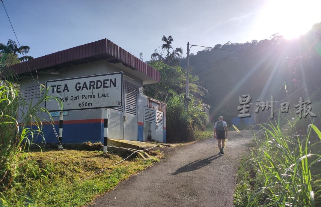 ★ 5月23日刊登/【半岛心旅行】/国内首个高山度假胜地 拉律山避暑生态游佳选