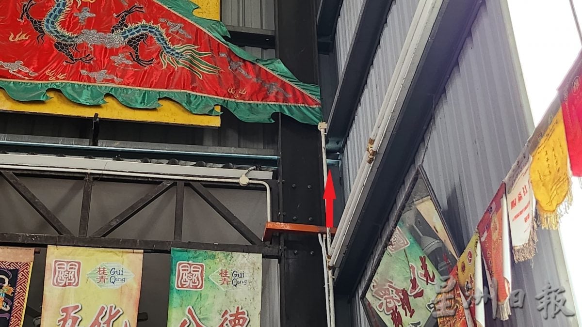 供品被偷吃以为神明显灵 果子狸在桂青会所筑窝繁衍