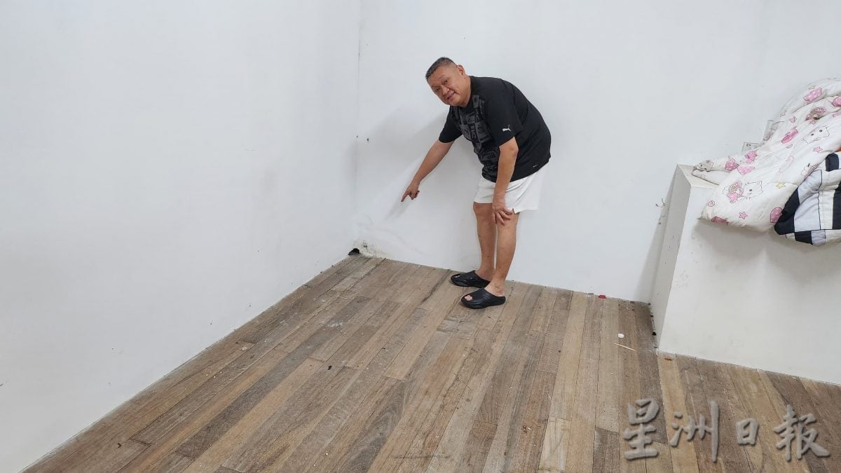 供品被偷吃以为神明显灵 果子狸在桂青会所筑窝繁衍