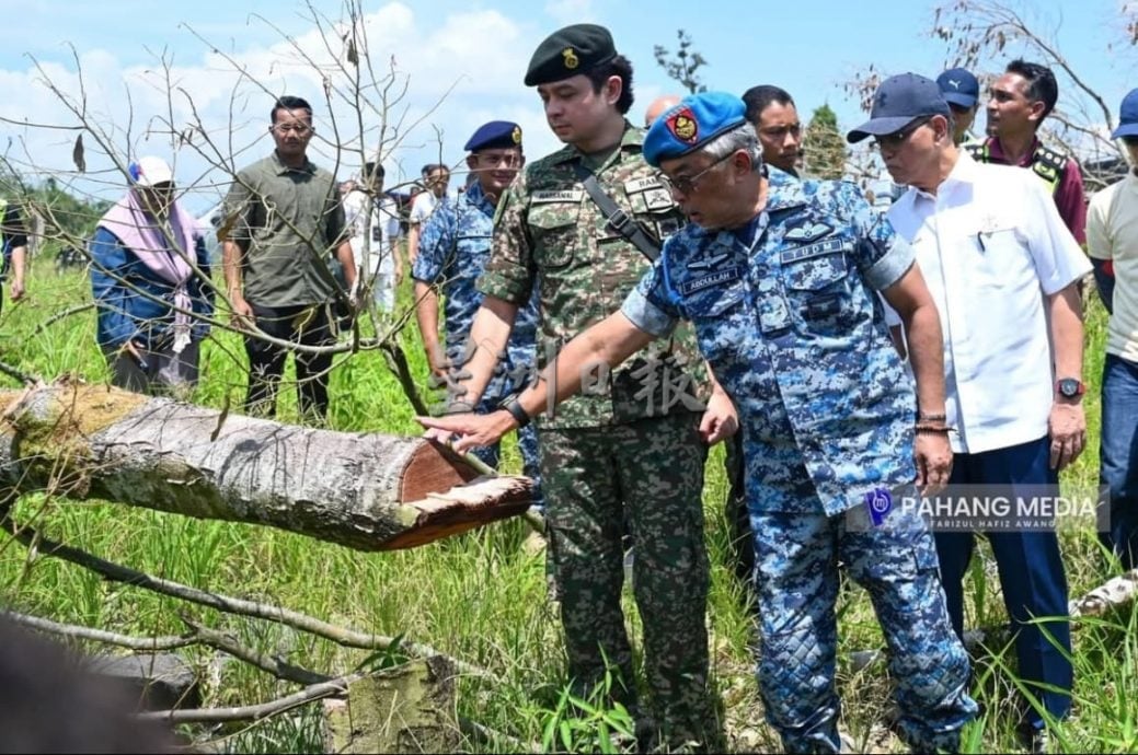 东:响应彭苏丹“漂白”呼声,向彭亨皇家榴梿集团注册芭主暴增