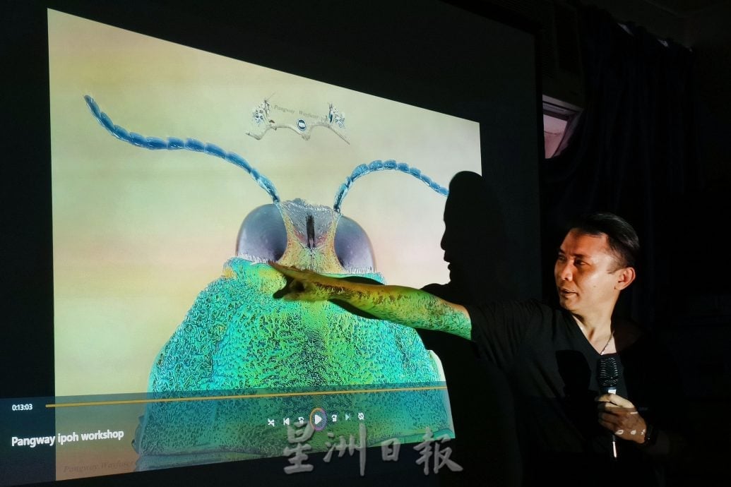 （28/5见报）星角摄/微距的奇妙世界