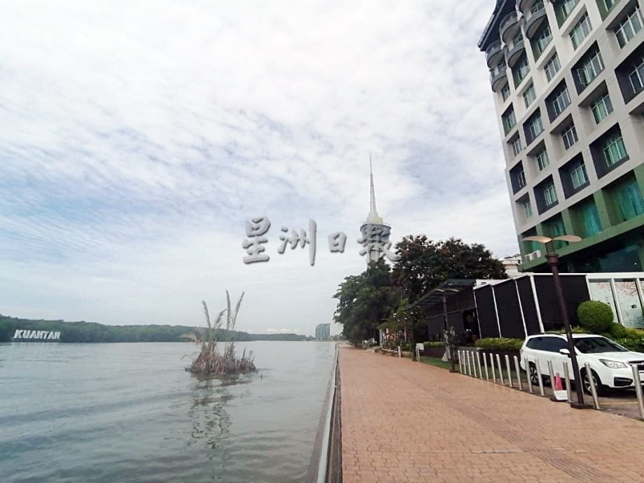疑被涨潮带到下游,美景酒店旁河面出现一座“棕榈树岛”。